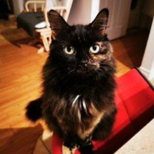 Meet your Posher, Bianca